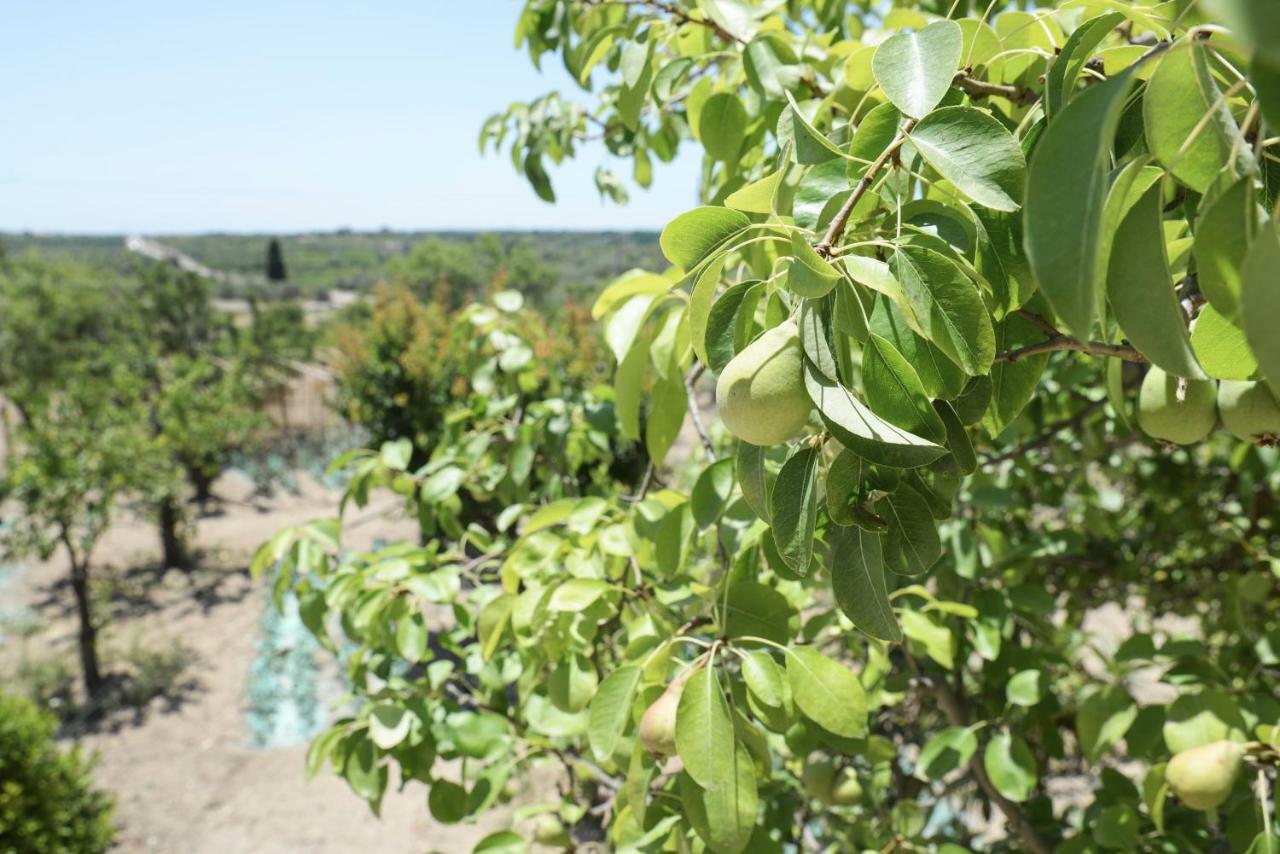Jardinu Pensionat Noto Exteriör bild