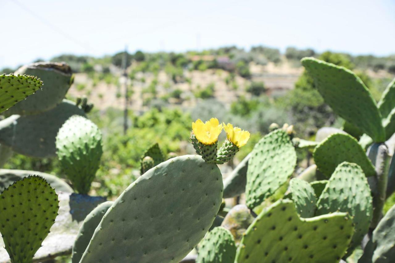 Jardinu Pensionat Noto Exteriör bild