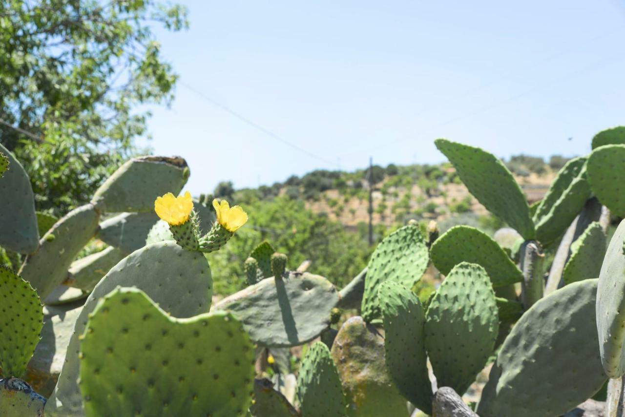 Jardinu Pensionat Noto Exteriör bild